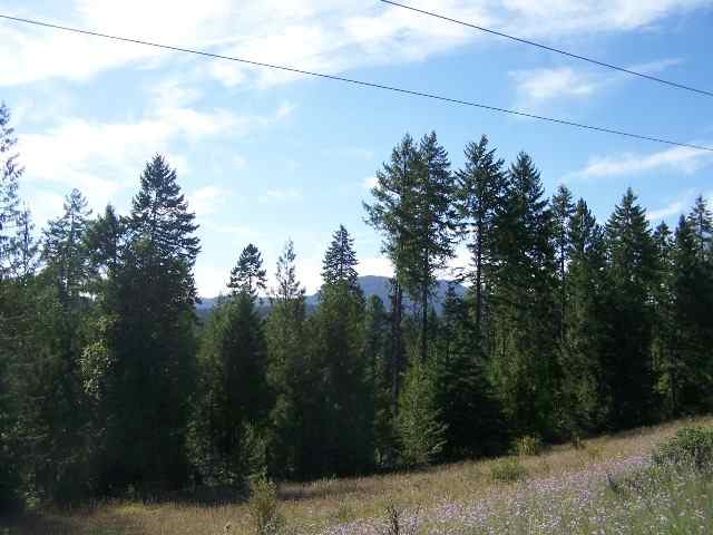 Lot 3 Schlegel Ranch Road Ione, WA 99139 - Photo 1 of 6