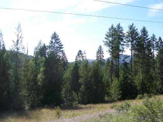 Lot 3 Schlegel Ranch Road Ione, WA 99139 - Photo 2 of 6