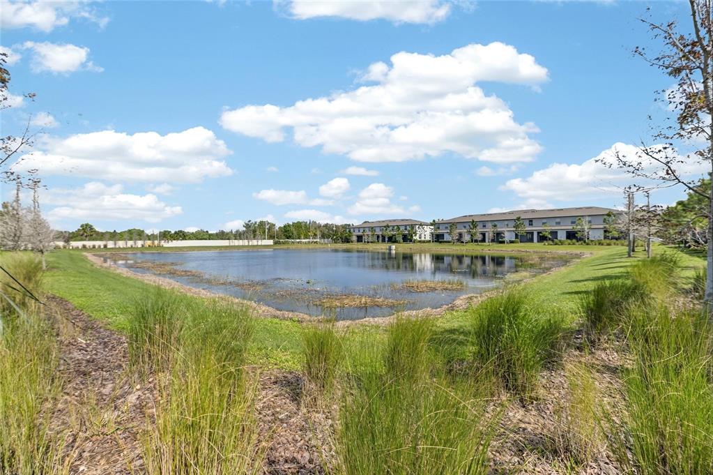 11822 Dumaine Valley Road Riverview, FL 33579 - Photo 26 of 54