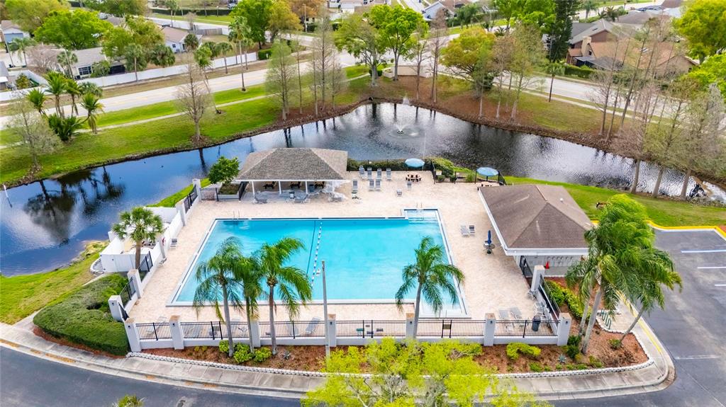 11822 Dumaine Valley Road Riverview, FL 33579 - Photo 3 of 54