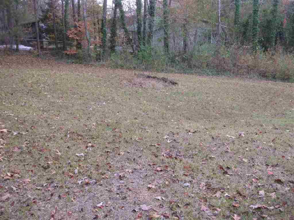 159 Ken Pat Acres Road Westminster, SC 29693 - Photo 2 of 14 Gallery Image 2