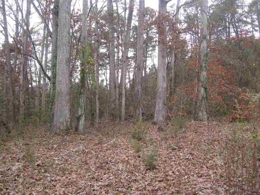 159 Ken Pat Acres Road Westminster, SC 29693 - Photo 5 of 14 Gallery Image 5