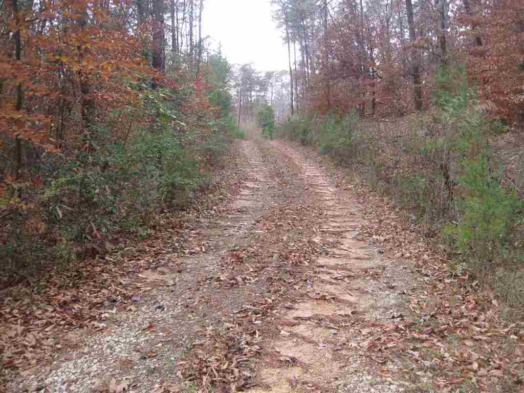 159 Ken Pat Acres Road Westminster, SC 29693 - Photo 9 of 14 Gallery Image 9