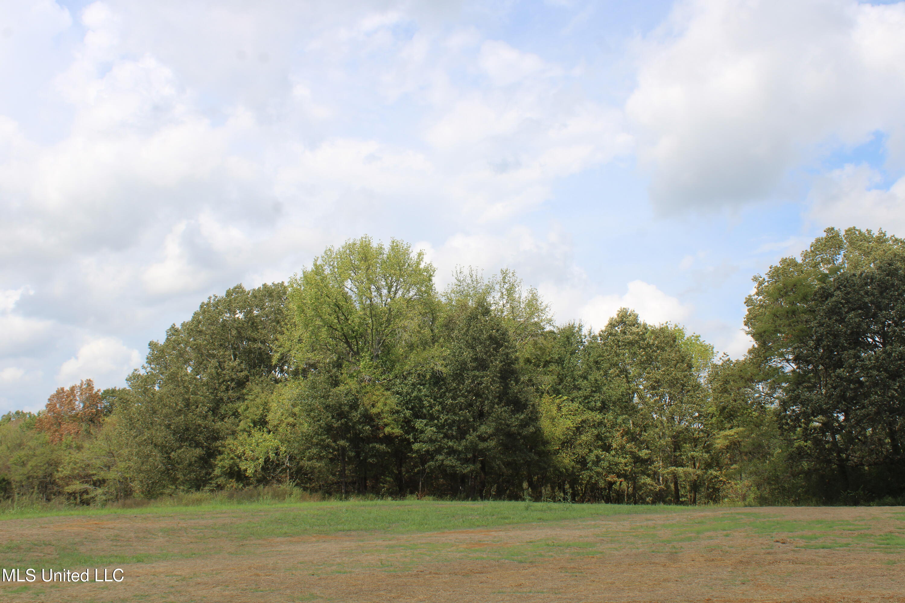 20 Hickory Hollow Road Coldwater, MS 38618 - Photo 45 of 70 IMG_6605