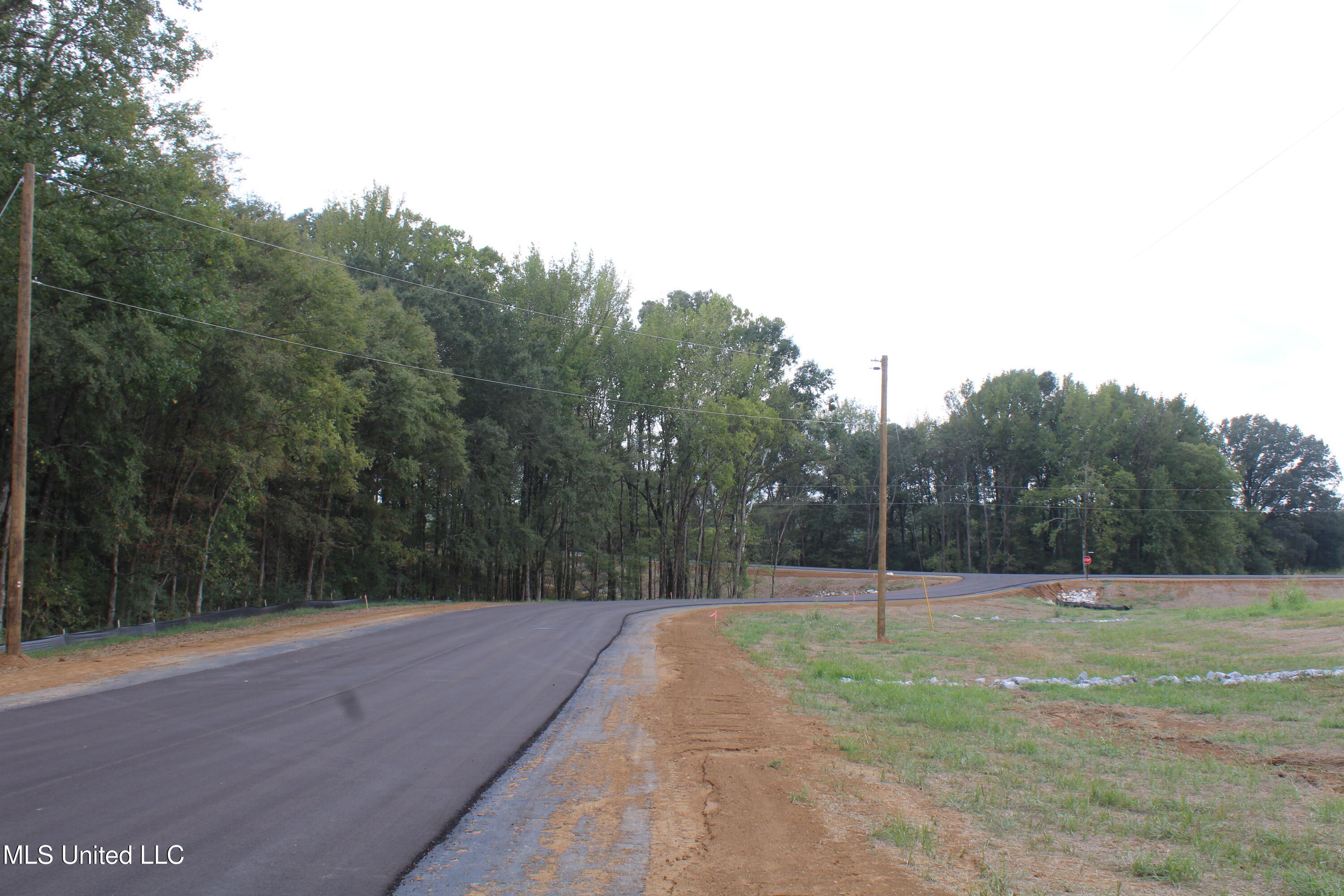 20 Hickory Hollow Road Coldwater, MS 38618 - Photo 49 of 70 IMG_6609