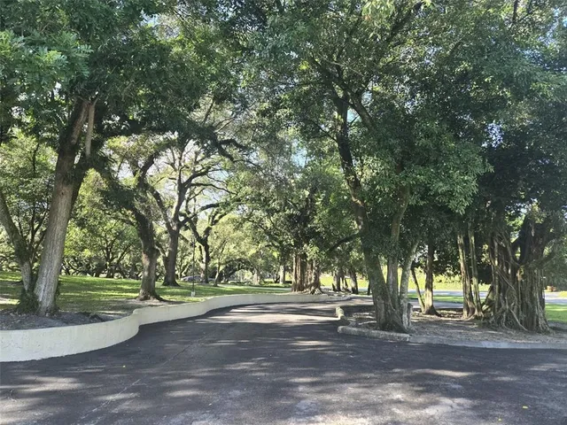 a view of backyard of green space
