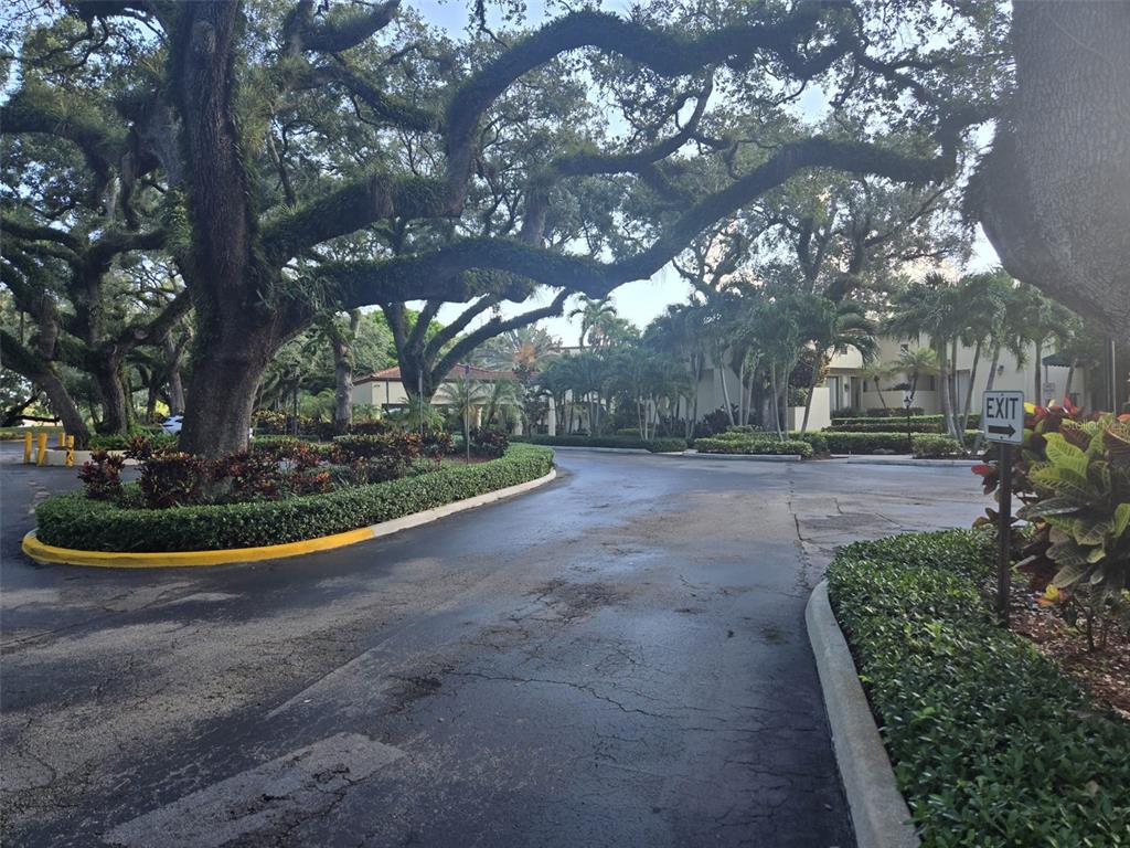 9410 Live Oak Place, Unit 103 Davie, FL 33324 - Photo 39 of 49 a view of a garden with large tree