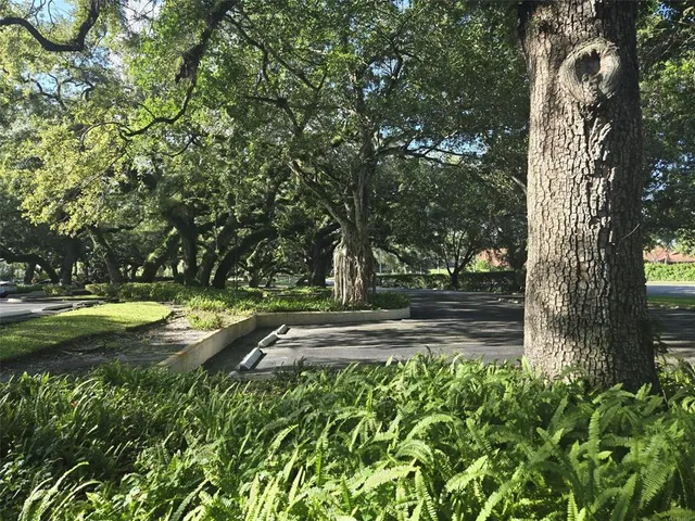 a view of yard with tree