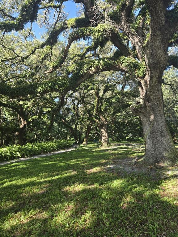 9410 Live Oak Place, Unit 103 Davie, FL 33324 - Photo 43 of 49 a view of a field with a tree