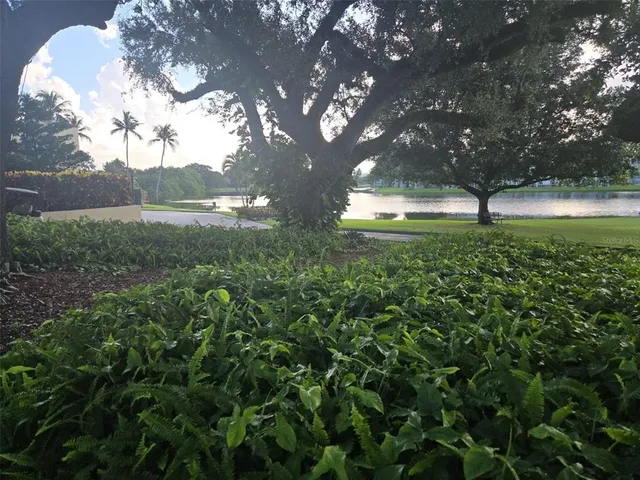 a view of a yard with a tree