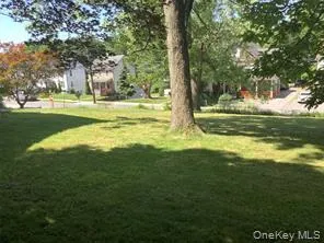 a view of a trees with a big yard