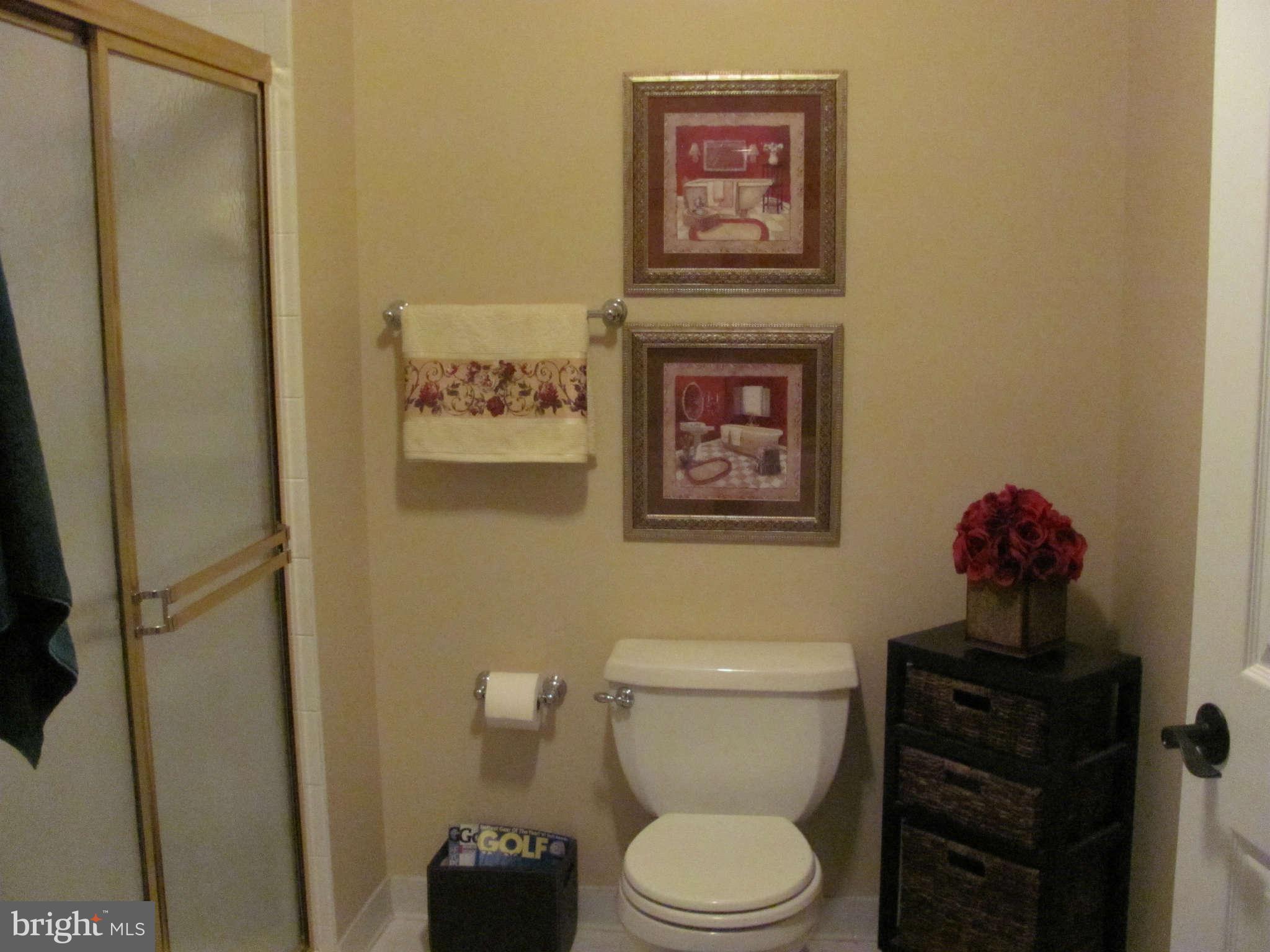 9108 Murdock Road Fairfax, VA 22032 - Photo 13 of 17 Separate Shower