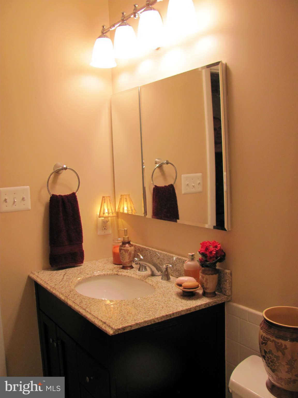 9108 Murdock Road Fairfax, VA 22032 - Photo 17 of 17 Main Bath