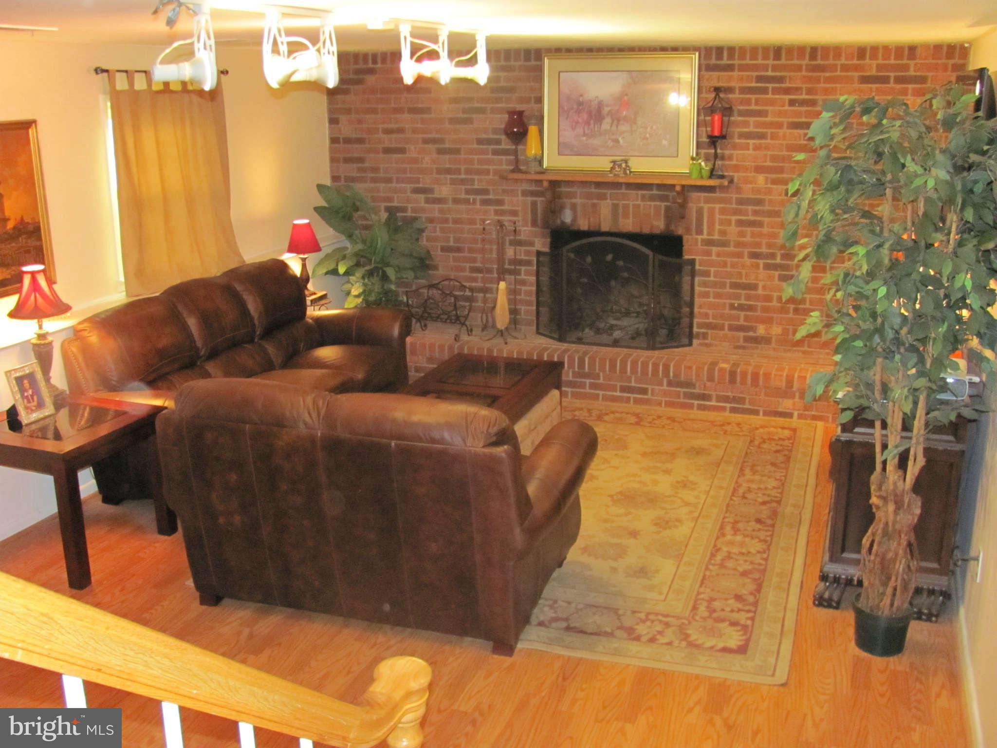9108 Murdock Road Fairfax, VA 22032 - Photo 7 of 17 Rec Room with WBFP