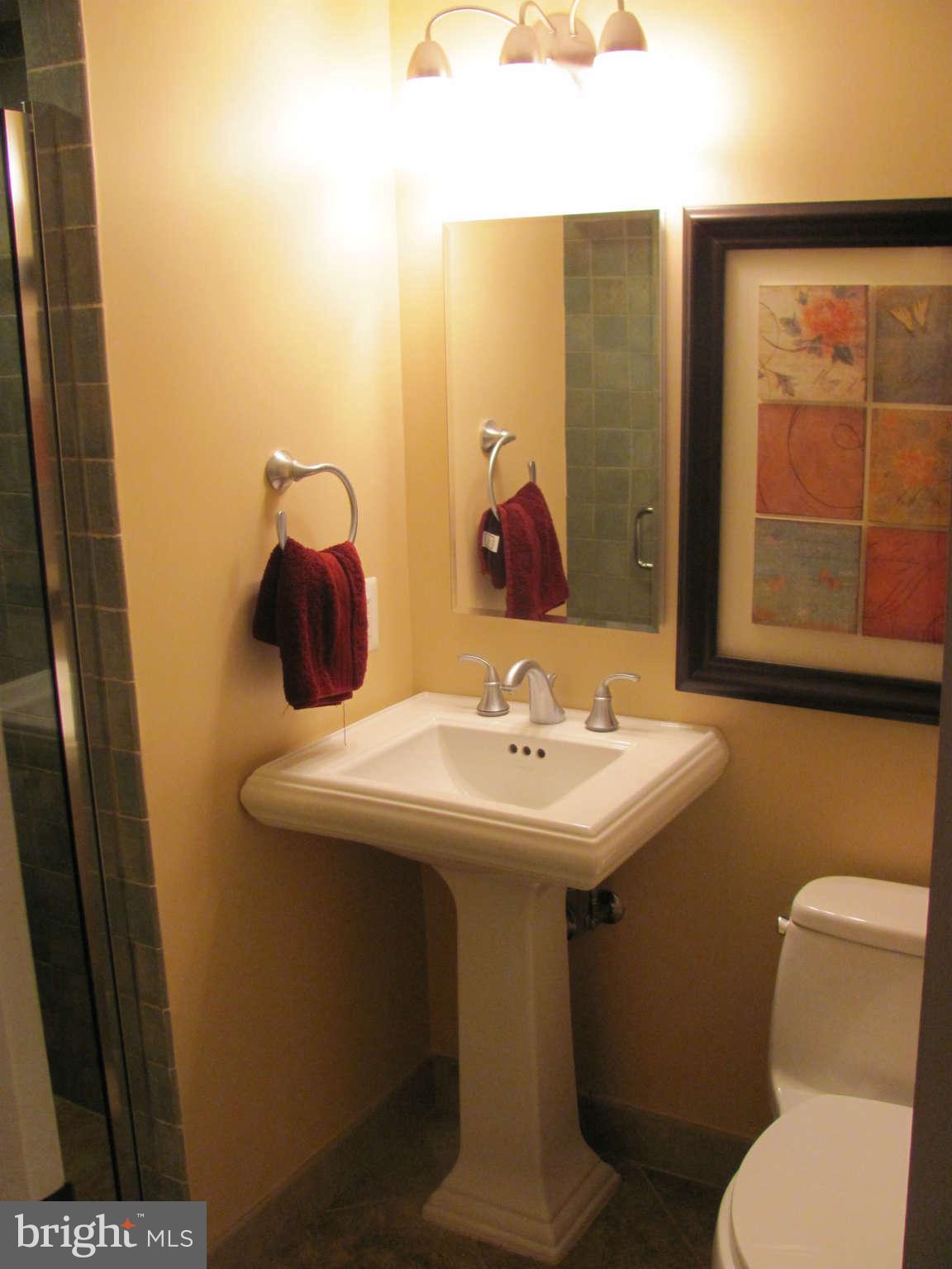 9108 Murdock Road Fairfax, VA 22032 - Photo 9 of 17 Lower Level Full Bath