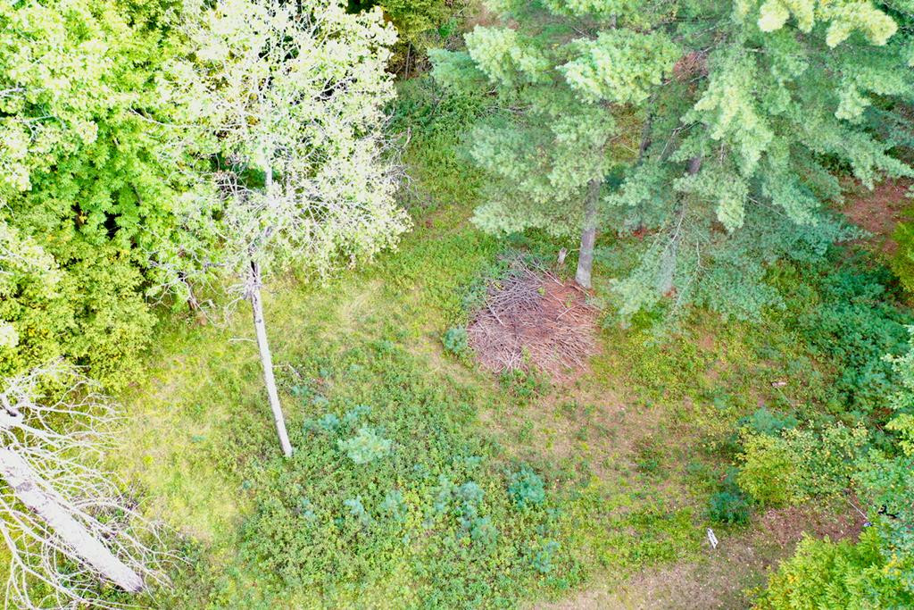 0 Nys Rt 9n Jay, NY 12941 - Photo 9 of 12 Gallery Image 9