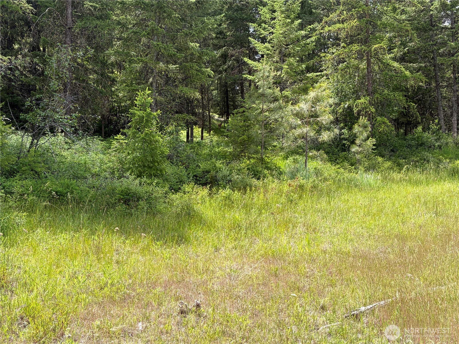 33 Outback Road Oroville, WA 98844 - Photo 9 of 26 a view of a lake view