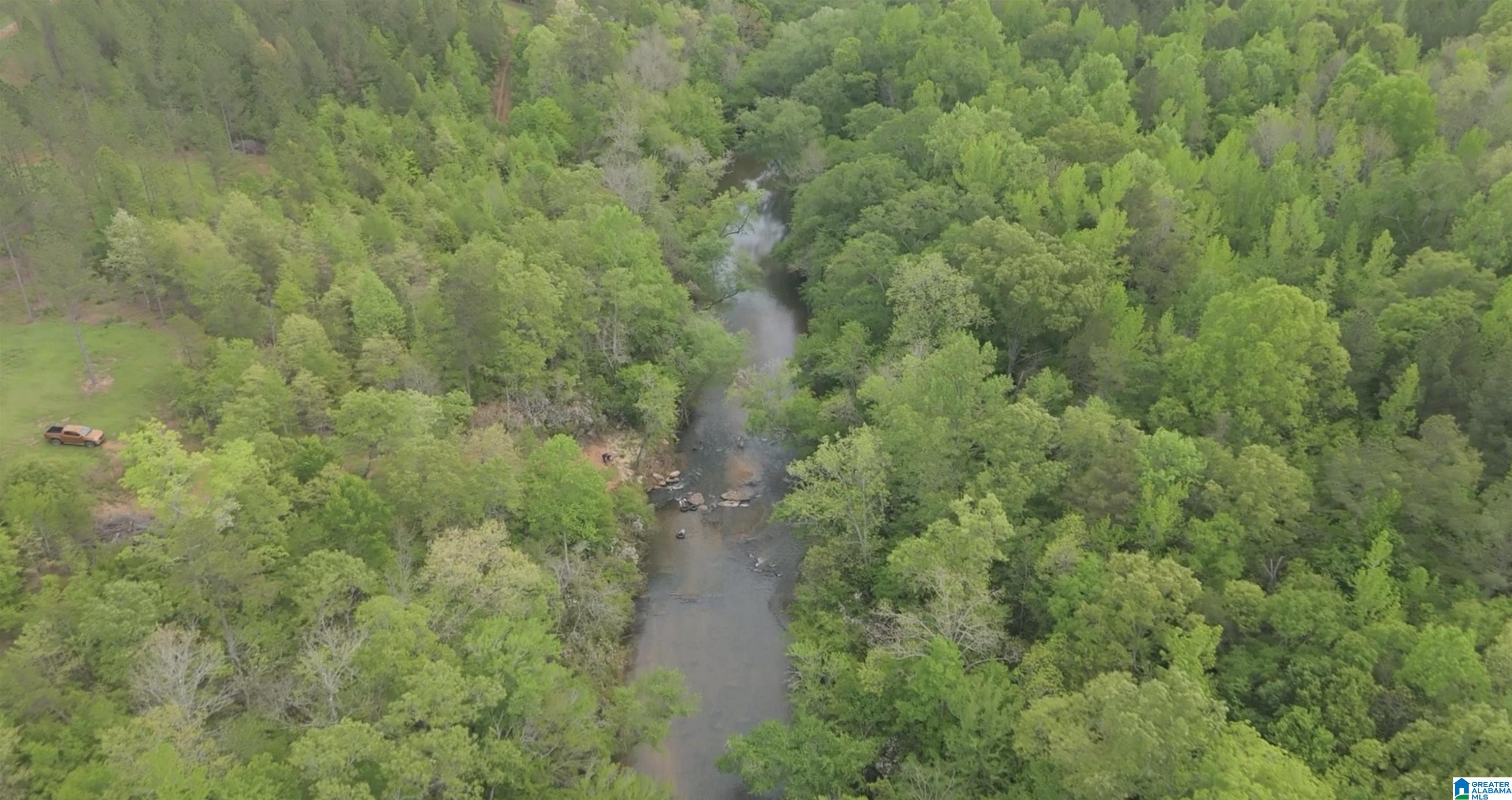 1051 Pate Road, Unit TRACT 5 AND 6 Cragford, AL 36255 - Photo 16 of 34