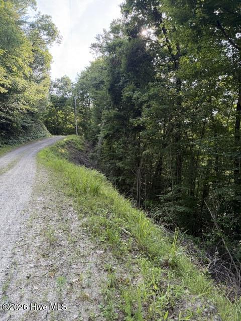 Lot 37 Quiet Waters Road Murphy, NC 28906 - Photo 2 of 6