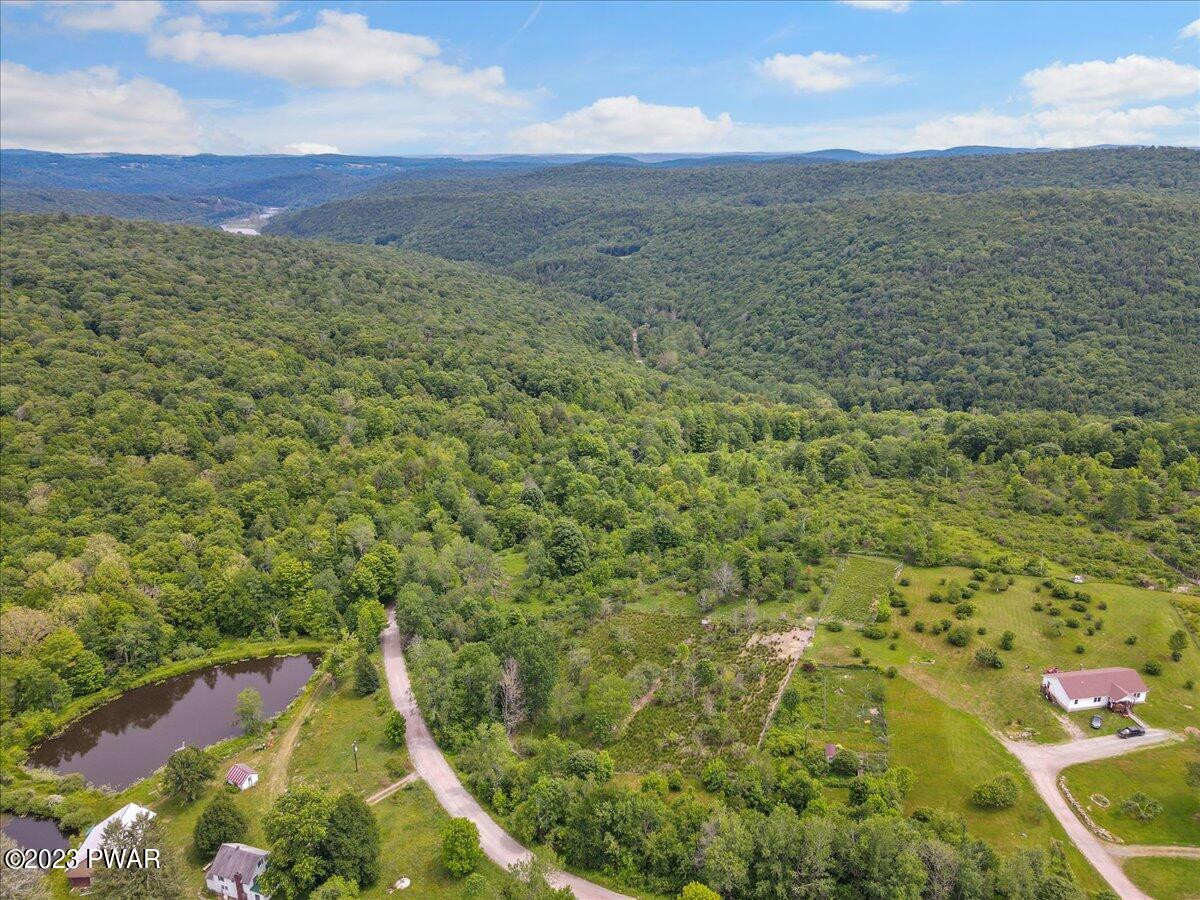 Adams Road Equinunk, PA 18417 - Photo 3 of 8 Aerial View