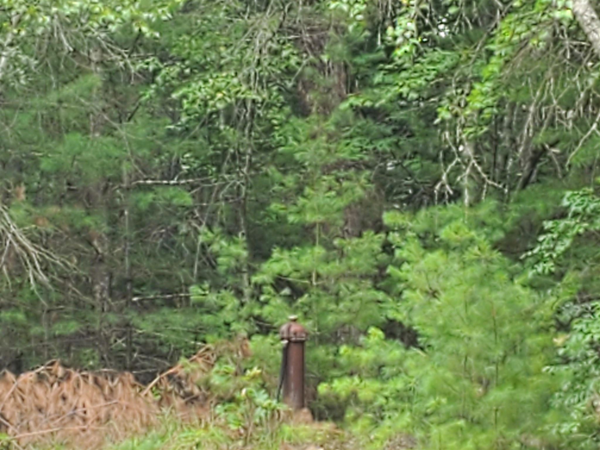 3 Freeman Hall Road Nottingham, NH 03290 - Photo 4 of 4