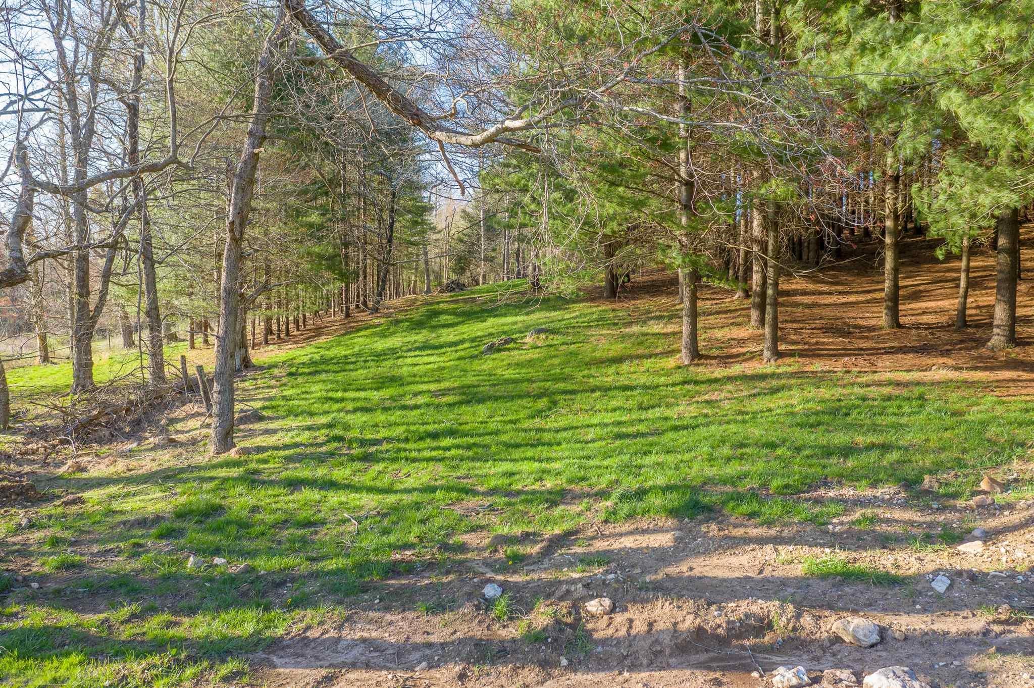 2919 Keno Road Laurel Fork, VA 24352 - Photo 65 of 68 Gallery Image 65