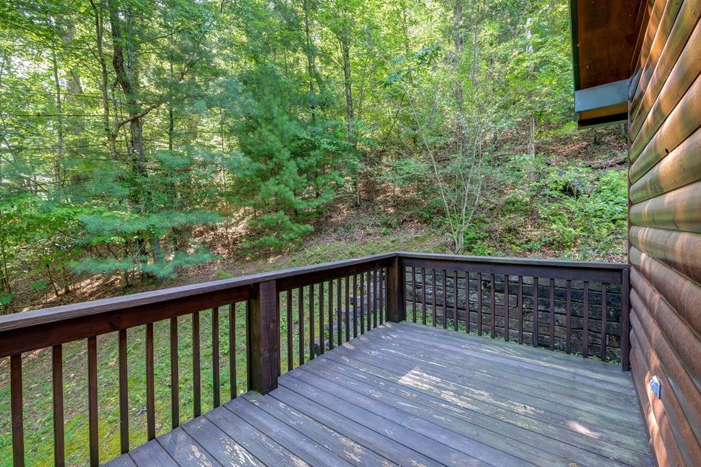 123 Rosa Ct Drive Murphy, NC 28906 - Photo 27 of 42