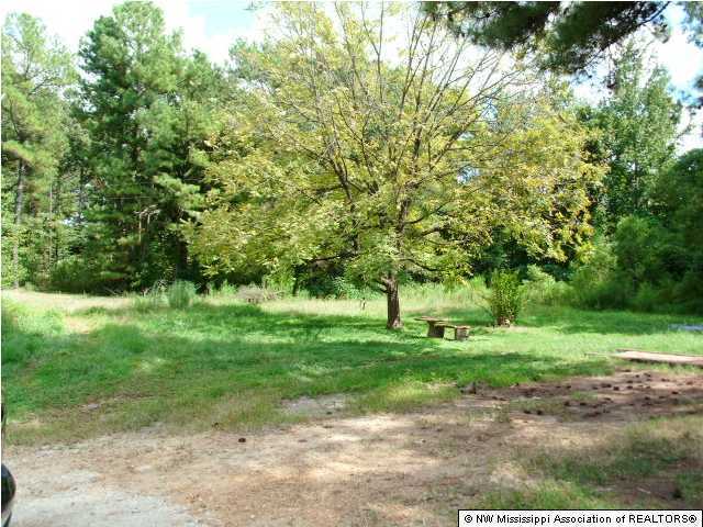 711 French Road Byhalia, MS 38611 - Photo 1 of 1 Primary Photo