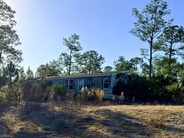 a view of a small yard