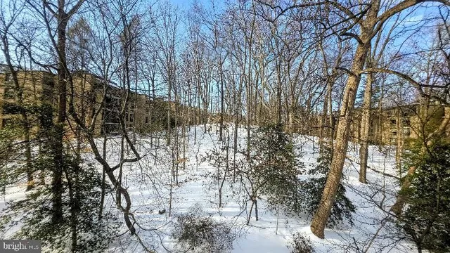 $3,700 | 4960 Sentinel Drive, Unit 10401, Bethesda, MD 20816