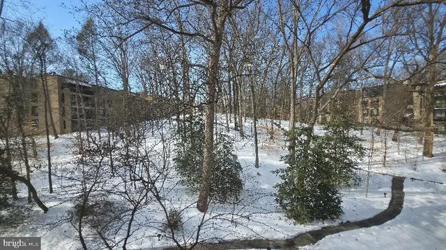 $3,700 | 4960 Sentinel Drive, Unit 10401, Bethesda, MD 20816