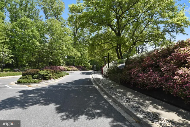 $3,700 | 4960 Sentinel Drive, Unit 10401, Bethesda, MD 20816