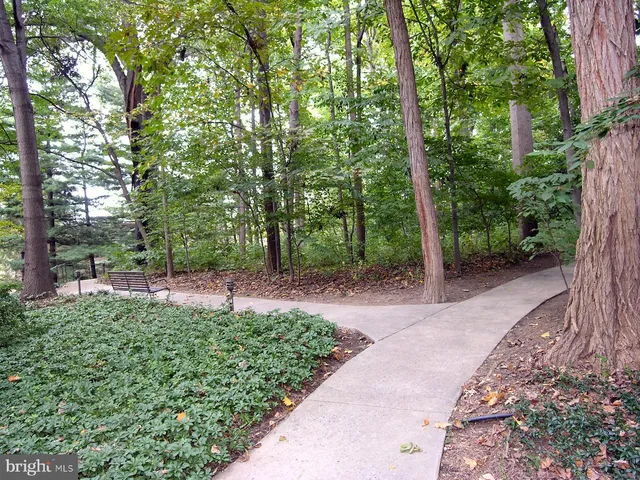 $3,700 | 4960 Sentinel Drive, Unit 10401, Bethesda, MD 20816