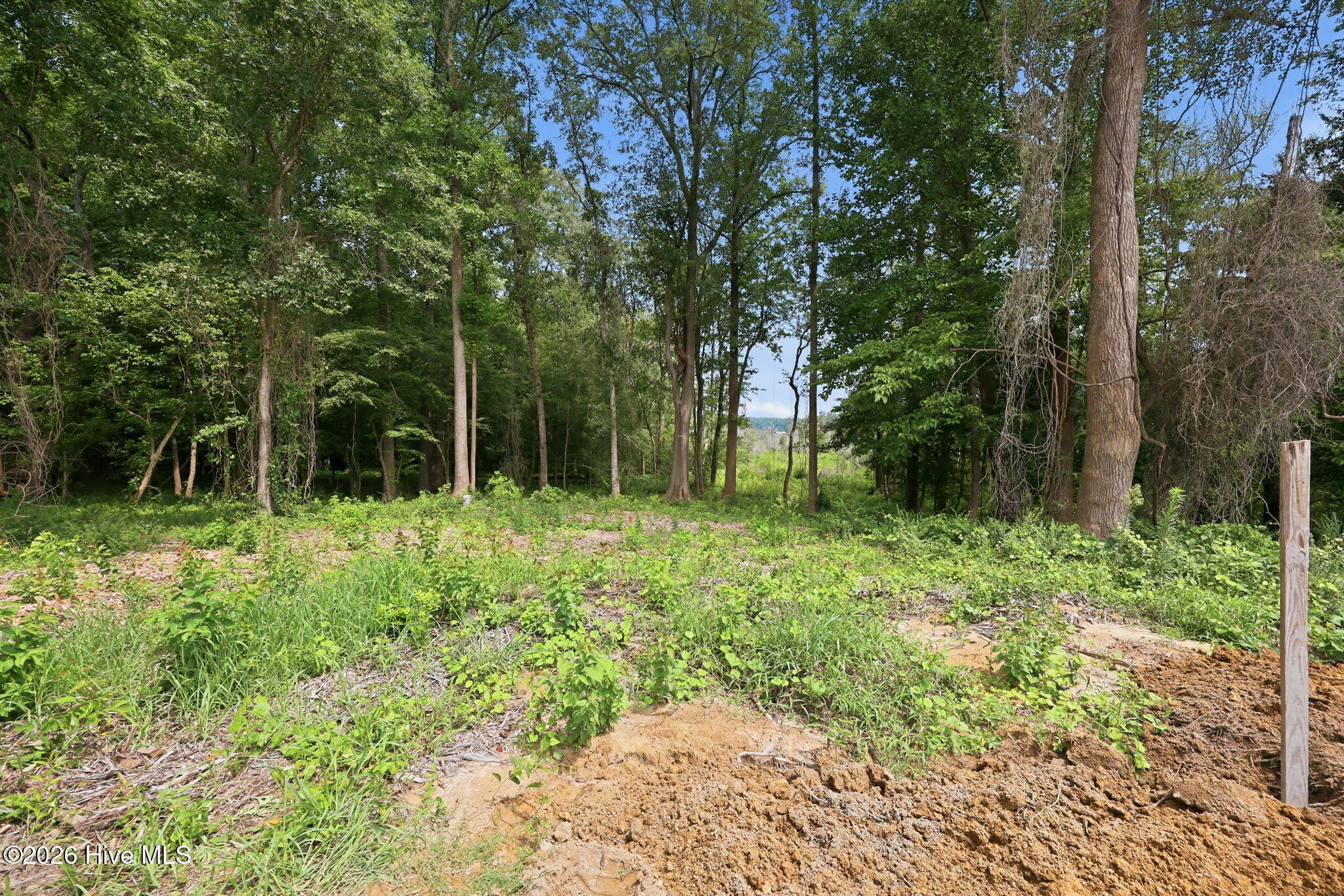 96 Sawmill Landing Road Bath, NC 27808 - Photo 42 of 47