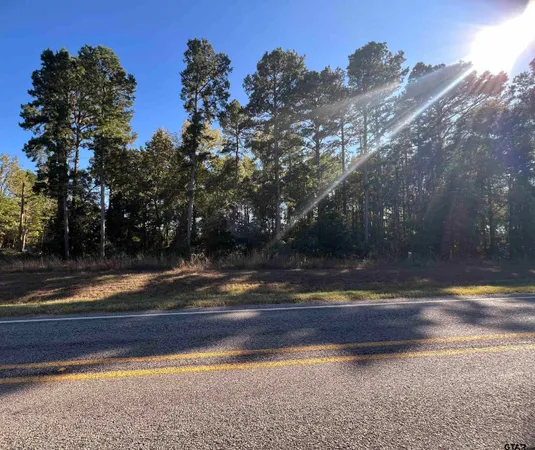 a view of a yard with large trees