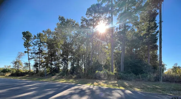 a view of a yard with plants and trees