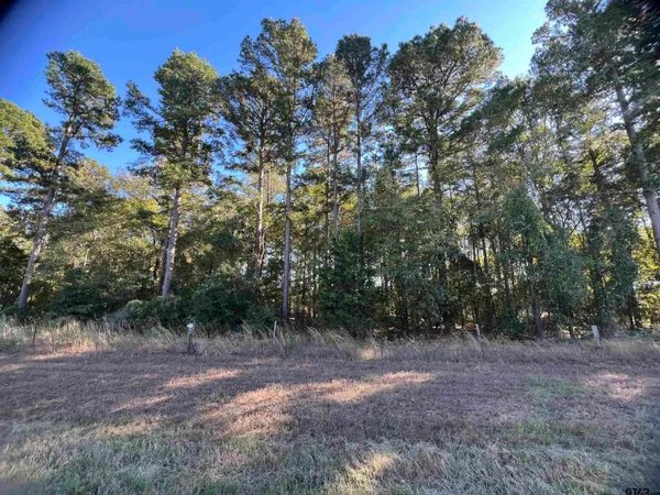 a view of outdoor space and trees