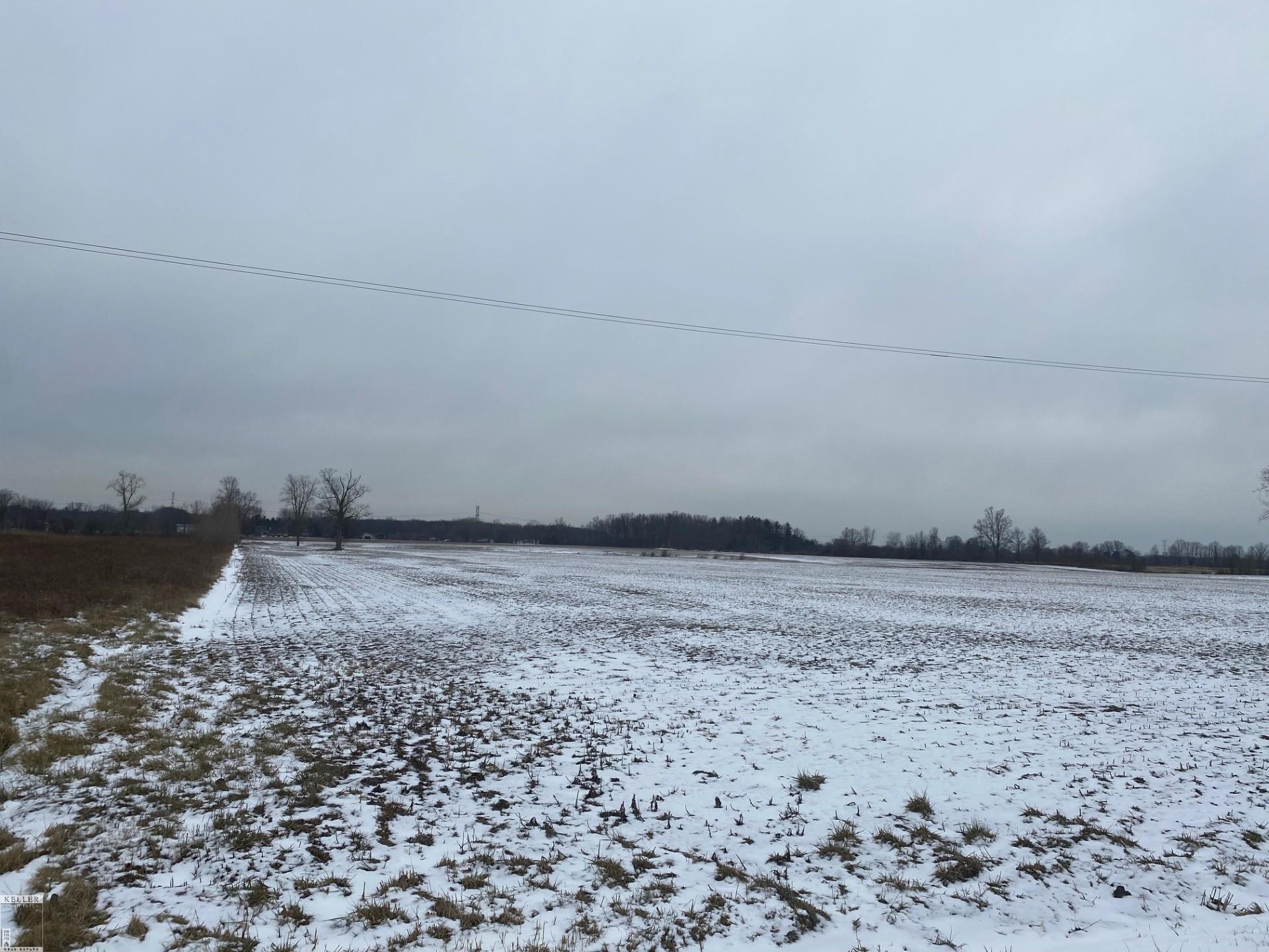 9977 Weber Road Columbus, MI 48063 - Photo 4 of 4