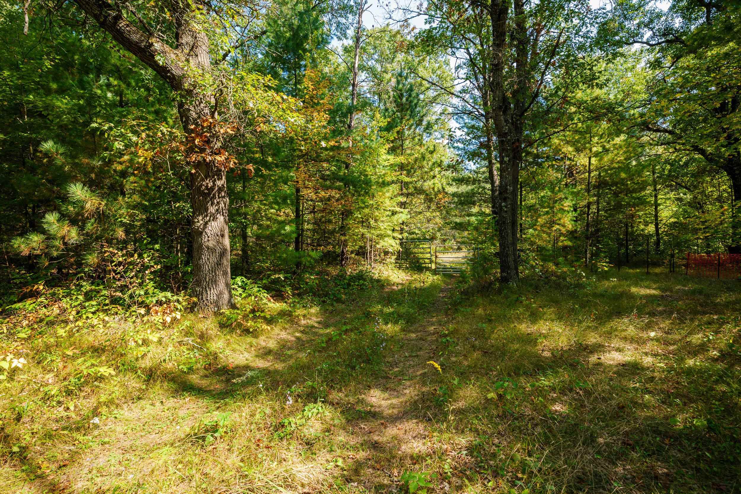 Lot 0 Lonesome Road Wisconsin Rapids, WI 54495 - Photo 7 of 16