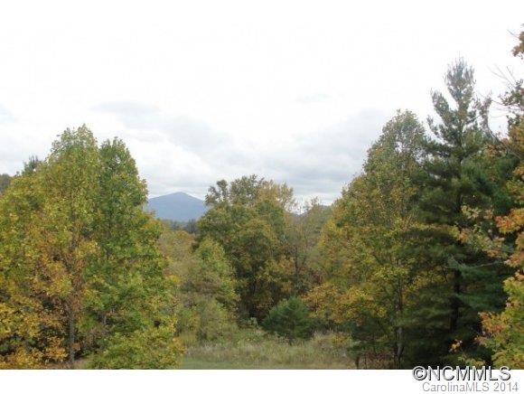 41 West Monday Ridge Road Fairview, NC 28730 - Photo 4 of 23 Gallery Image 4