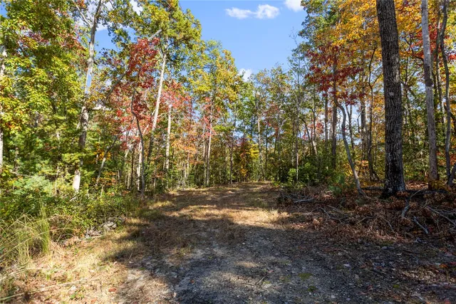 $39,000 | 494 Old Bear Ln Mountain Rest, Mountain Rest, SC 29664