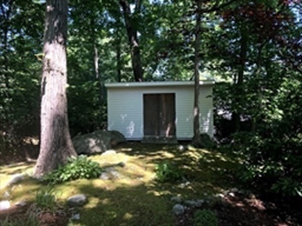 6 Nelson Drive Brookline, MA 02467 - Photo 41 of 42 a view of a house with a tree