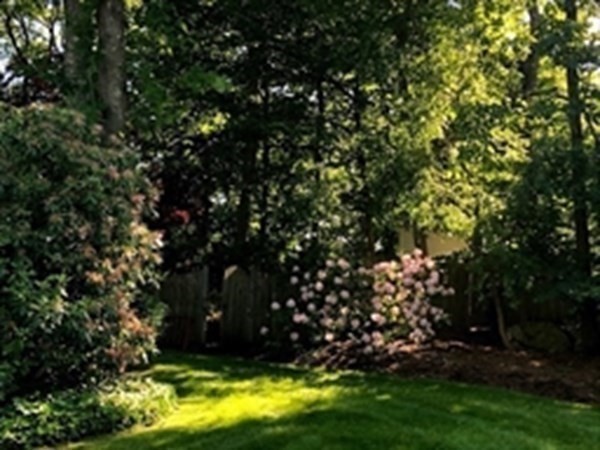 6 Nelson Drive Brookline, MA 02467 - Photo 42 of 42 a view of yard