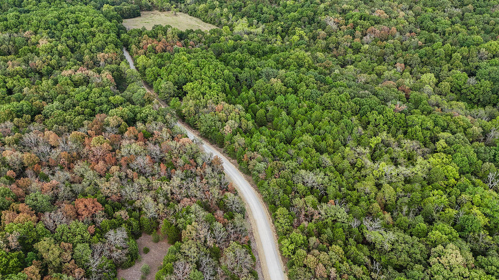 0 Co Road Wasola, MO 65773 - Photo 11 of 14 Aerial