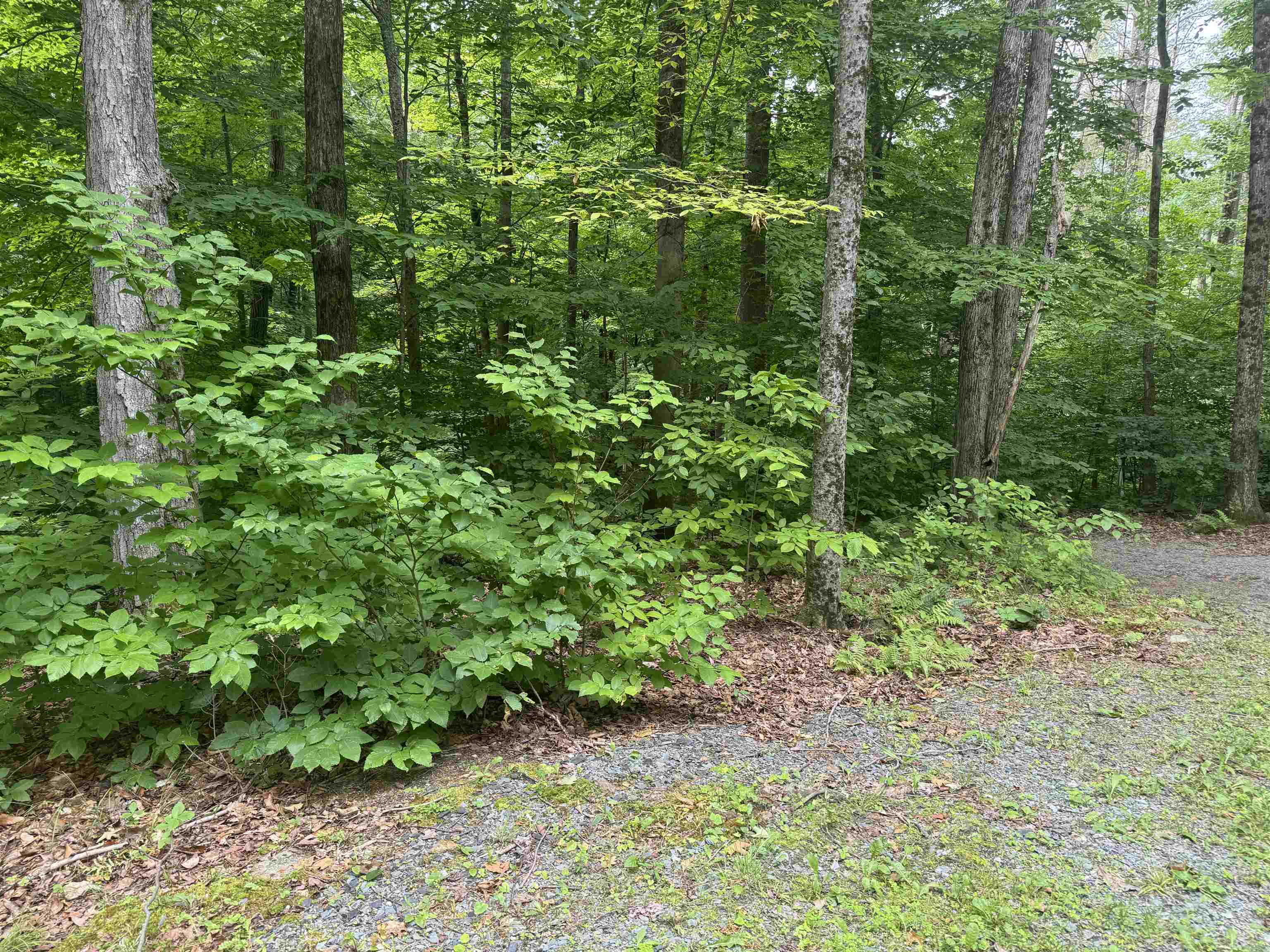 3089 Monument Hill Road Hubbardton, VT 05735 - Photo 10 of 19 Gallery Image 10