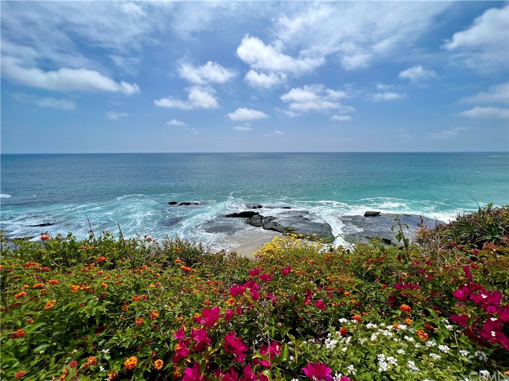 7 Camel Point Drive Laguna Beach, CA 92651 - Photo 18 of 48 a view of a bunch of flowers and trees in a yard
