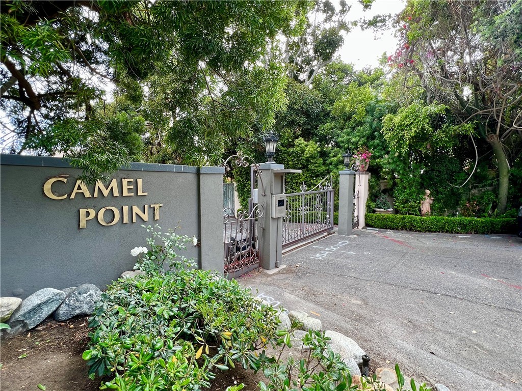 7 Camel Point Drive Laguna Beach, CA 92651 - Photo 6 of 48 a view of a street with potted plants and trees