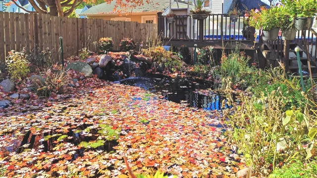 a view of a backyard with sitting area