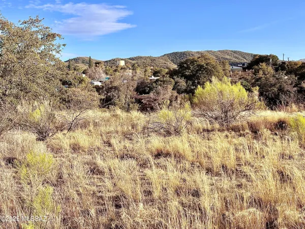 $65,000 | 0 North Calle Futura, Oracle, AZ 85623