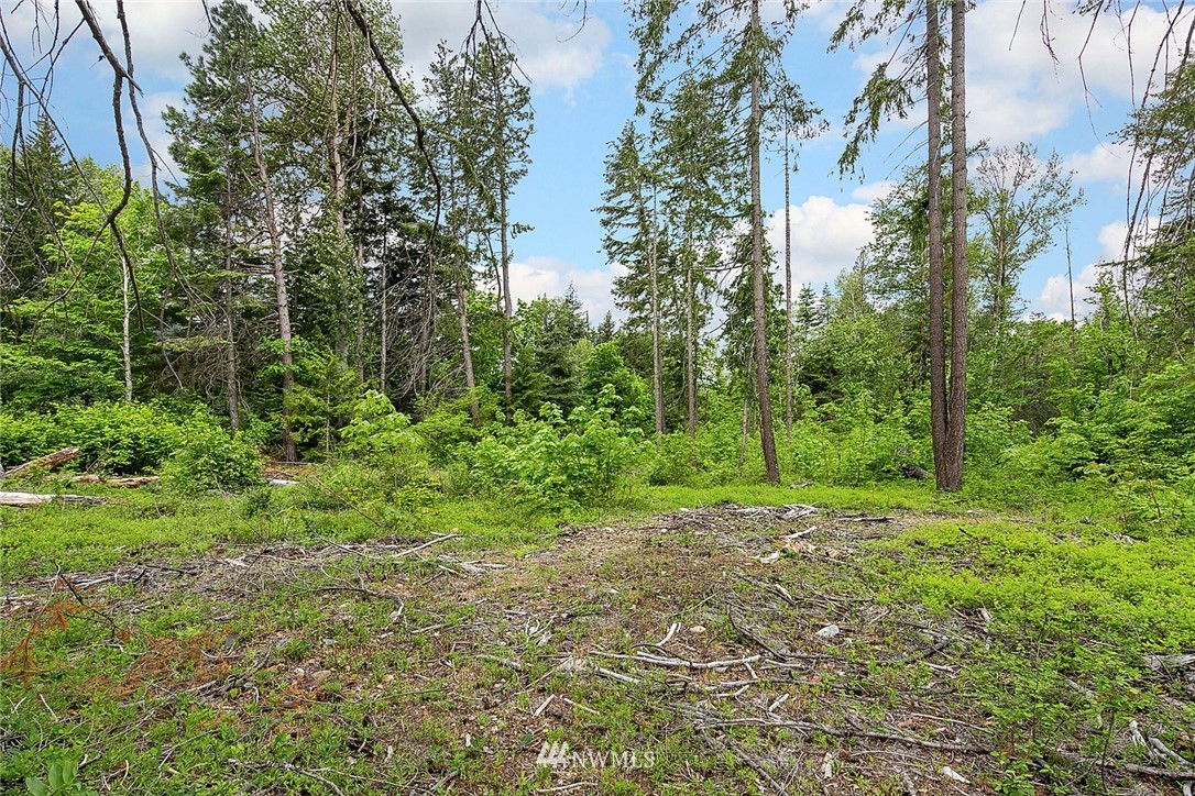 -xx Xx Road Cle Elum, WA 98922 - Photo 3 of 3 Gallery Image 3